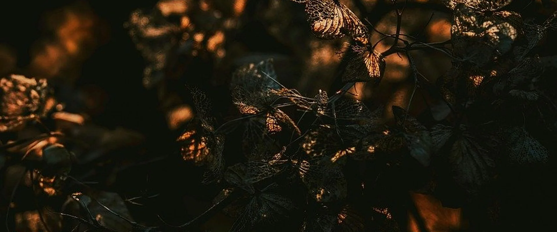 pg电子娱乐平台